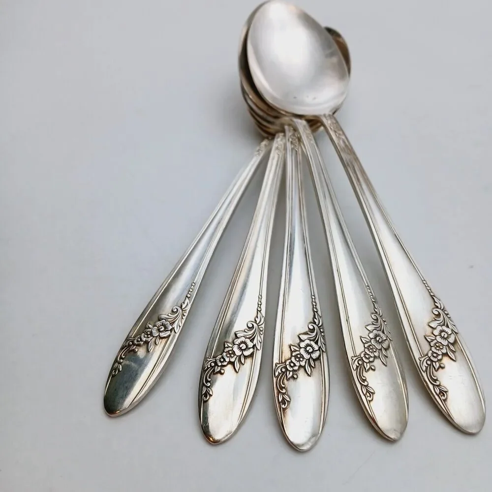 5 pc Oneida Community Queen Bess II SERVING Spoon 8.25